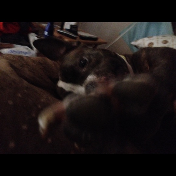 Meet your Posher, Jeffrey - Picture 6 of 8